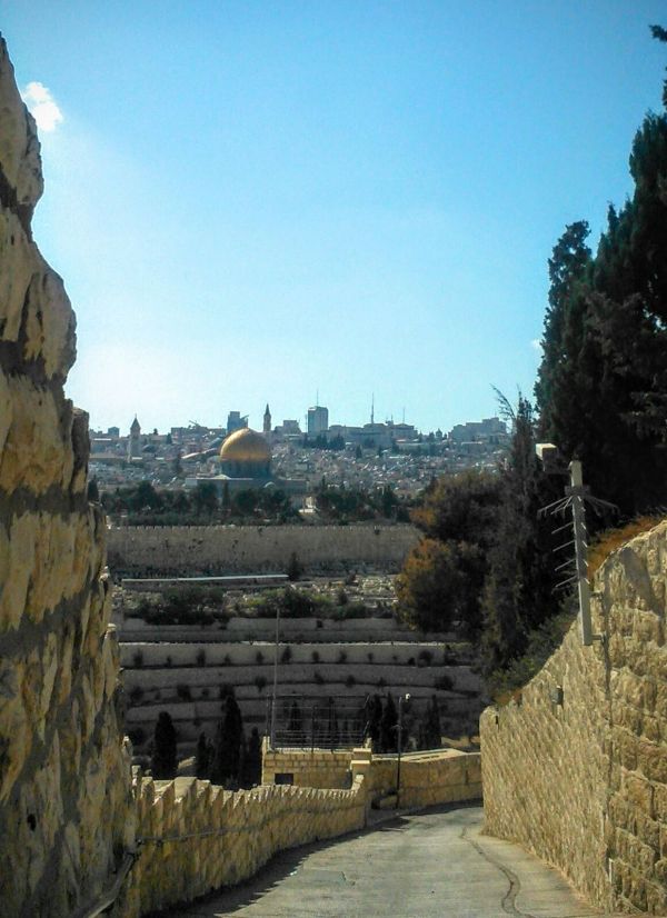 img-20160908-wa0016-copia